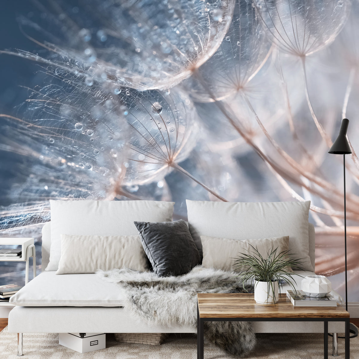 Fototapete Pusteblume mit Tautropfen - Sanfte Makro-Aufnahme