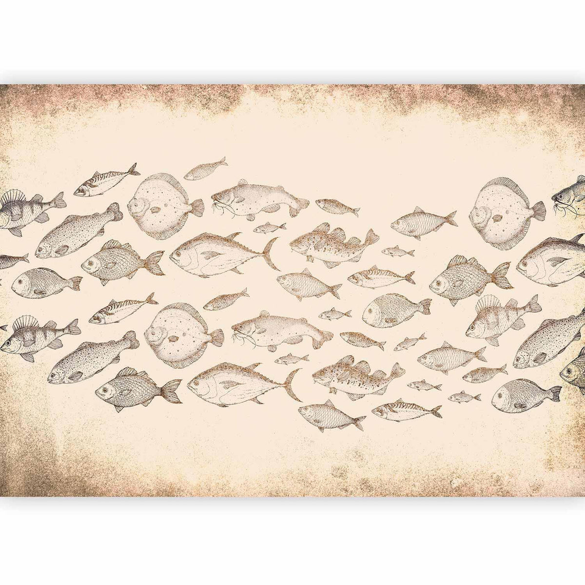 Fototapete Fischdrucke auf Sand – Naturkundliche Illustrationen im Vintage-Stil
