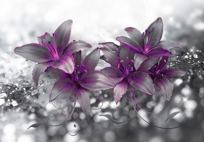 Fototapete - Secret of the Lily Artgeist