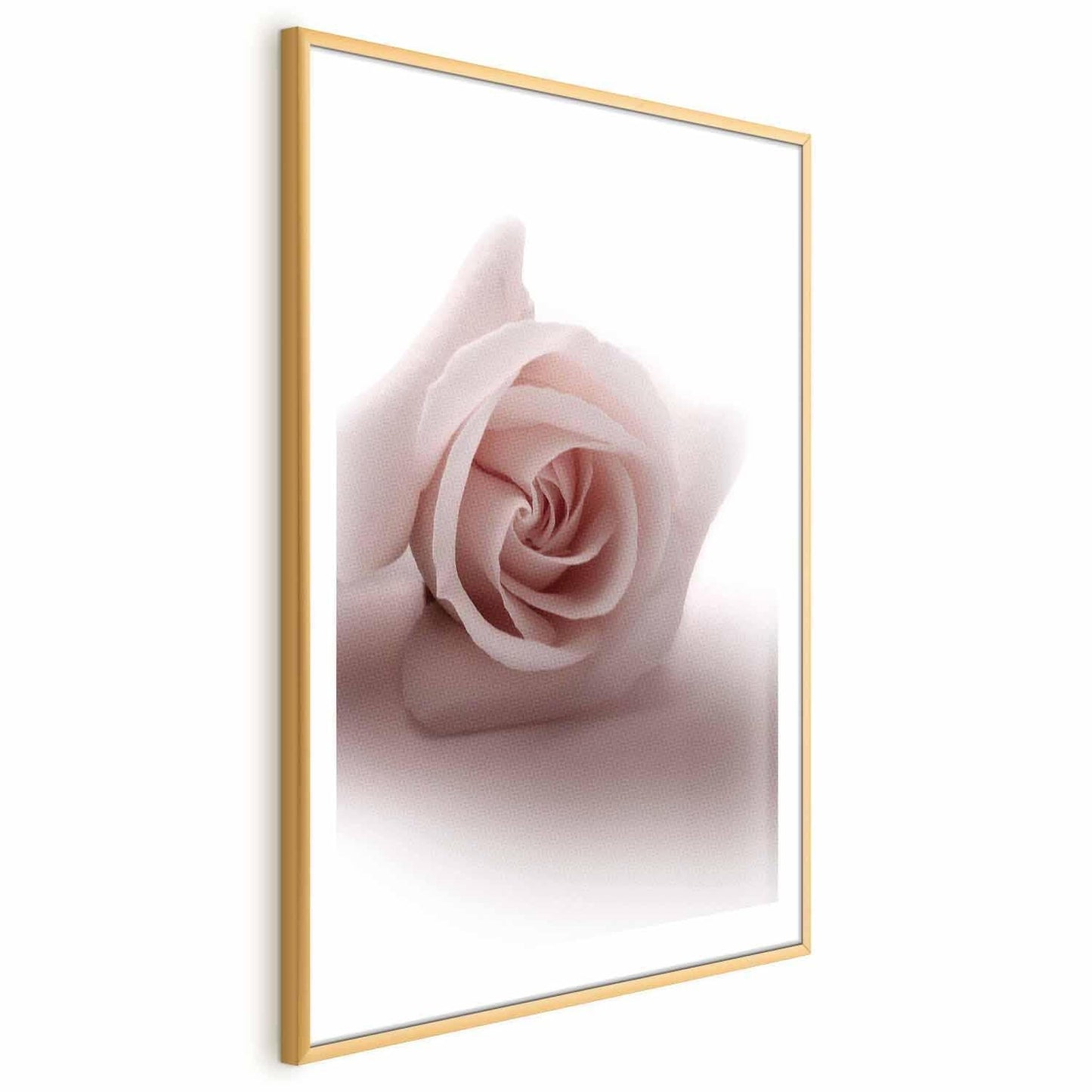 Poster - Rose Shadow Artgeist