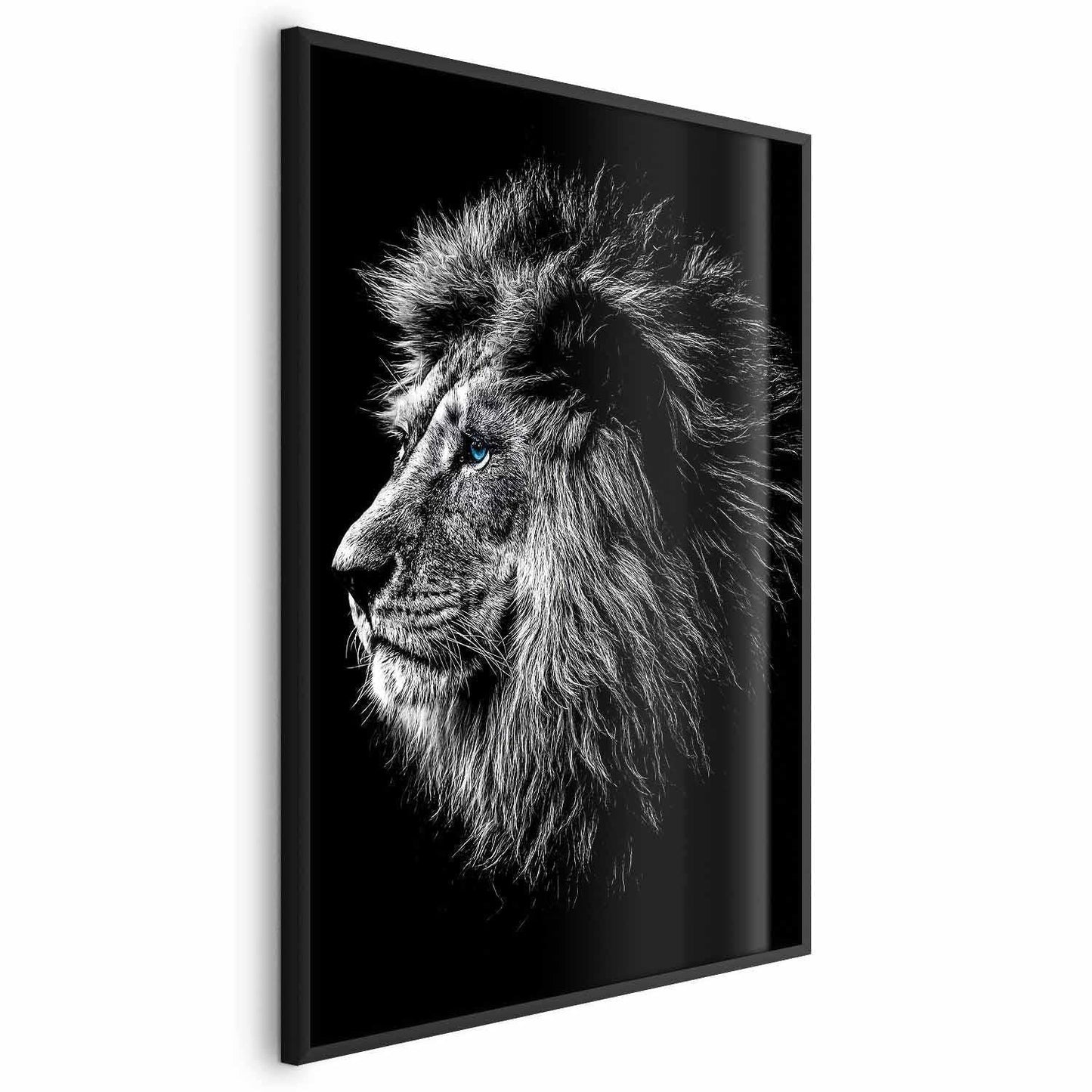 Poster - Blue-eyed Lion Artgeist