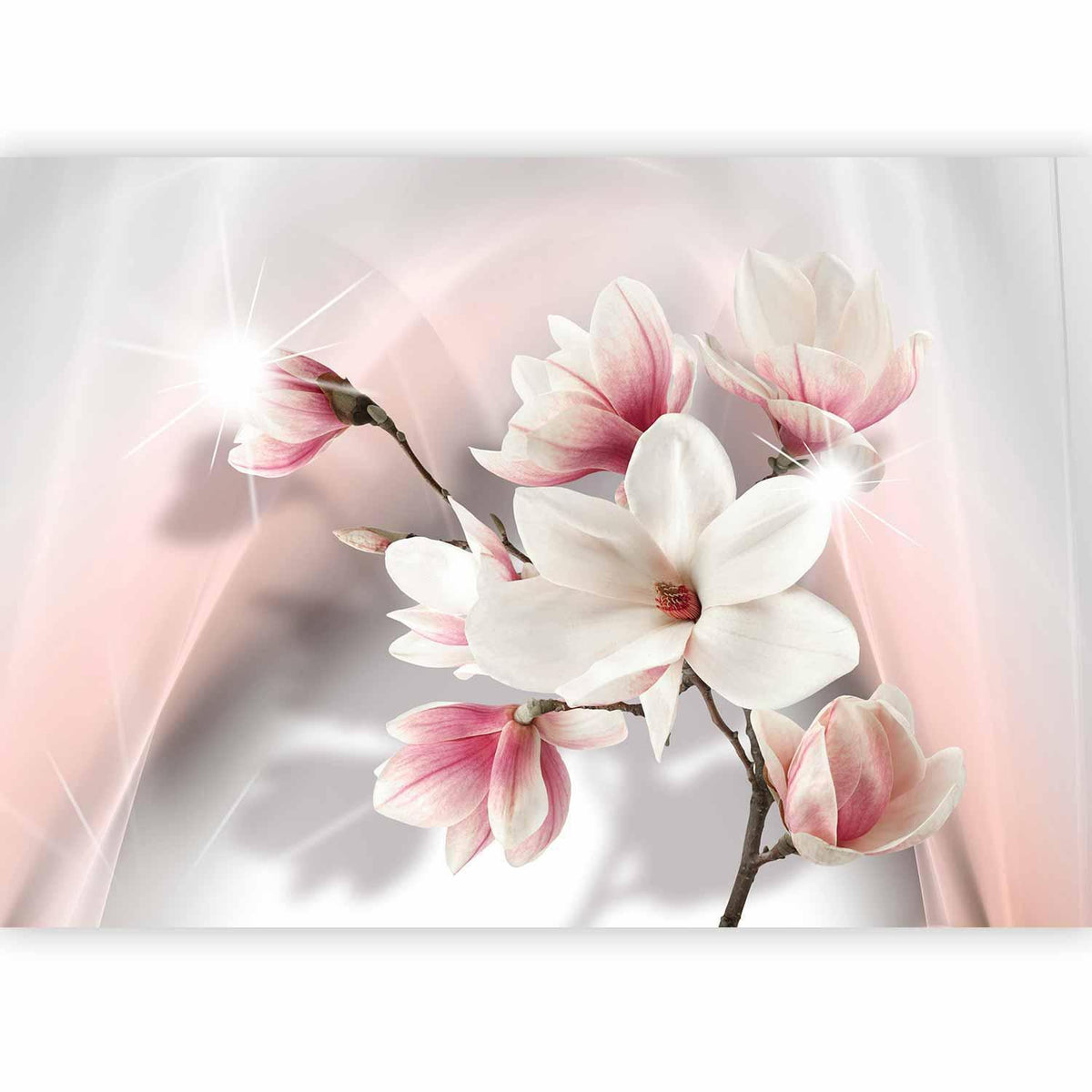 Fototapete - White magnolias