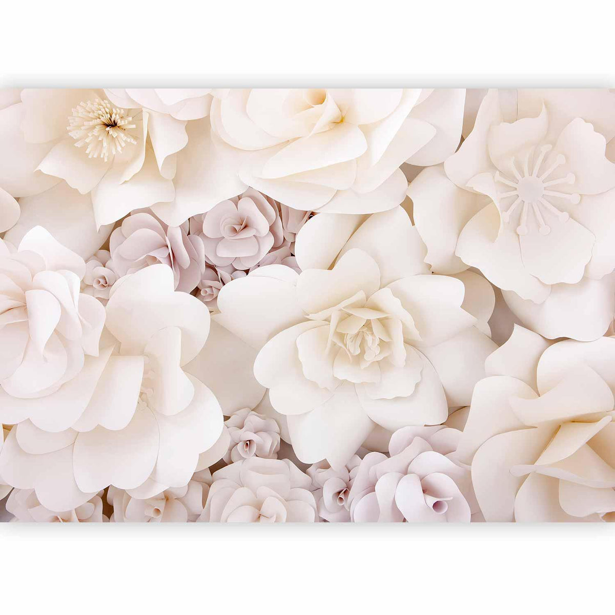Fototapete - Floral Display