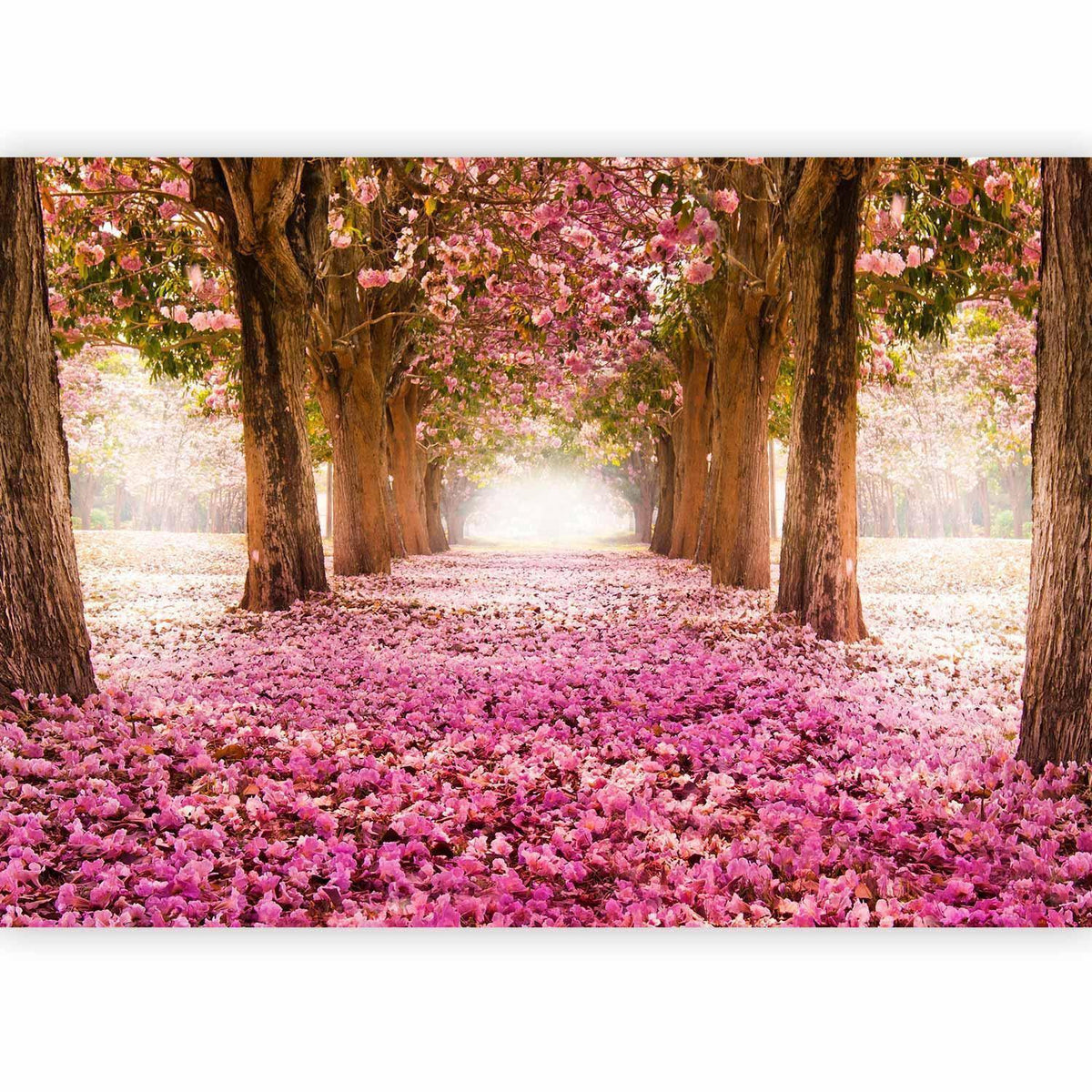 Fototapete - Pink grove