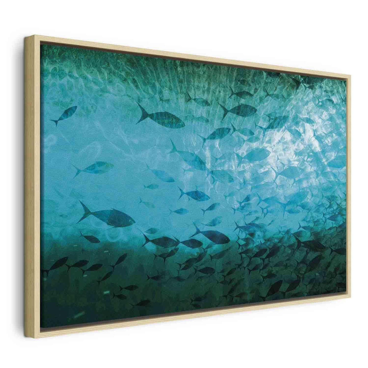 Leinwandbild - A shoal of dark fish
