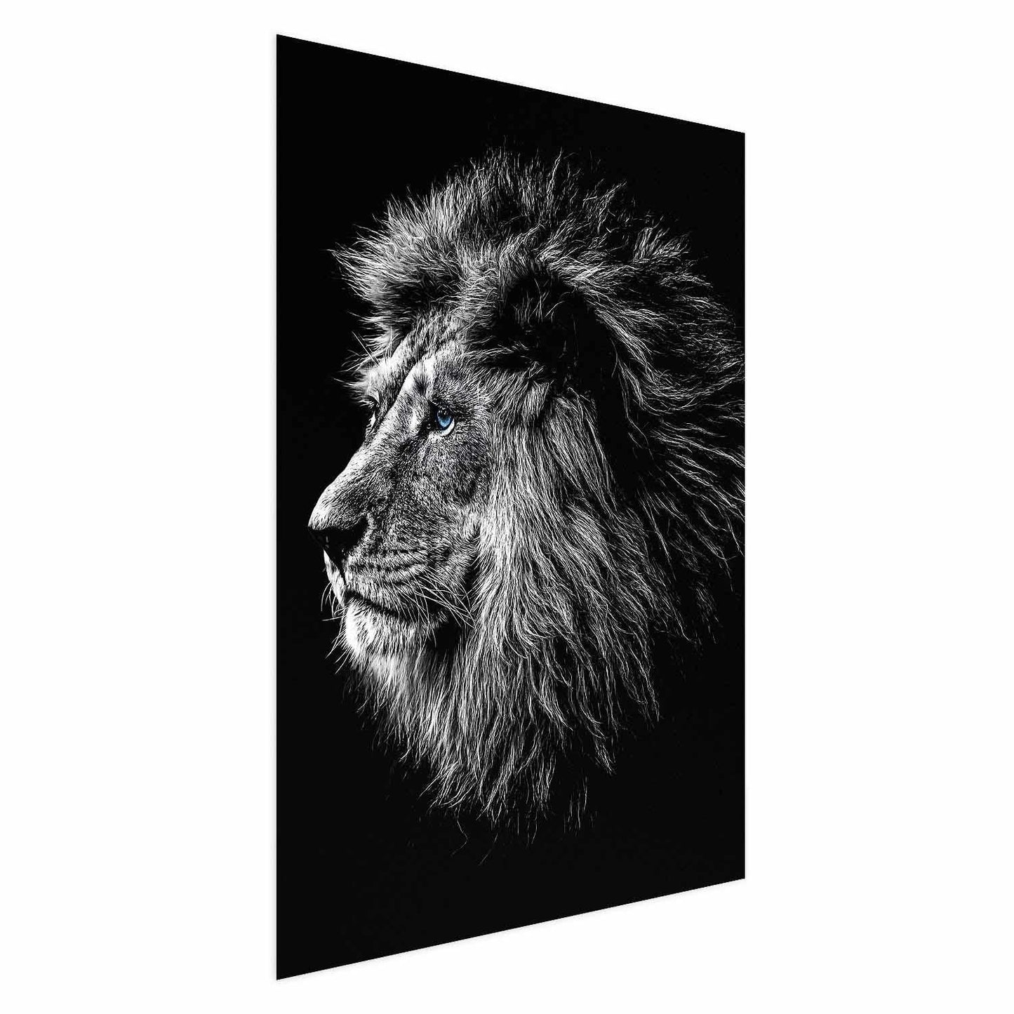 Poster - Blue-eyed Lion Artgeist