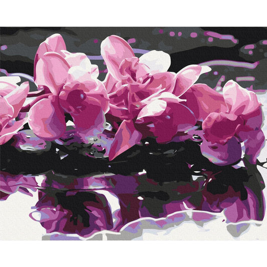 Malen nach Zahlen - Purple Orchid