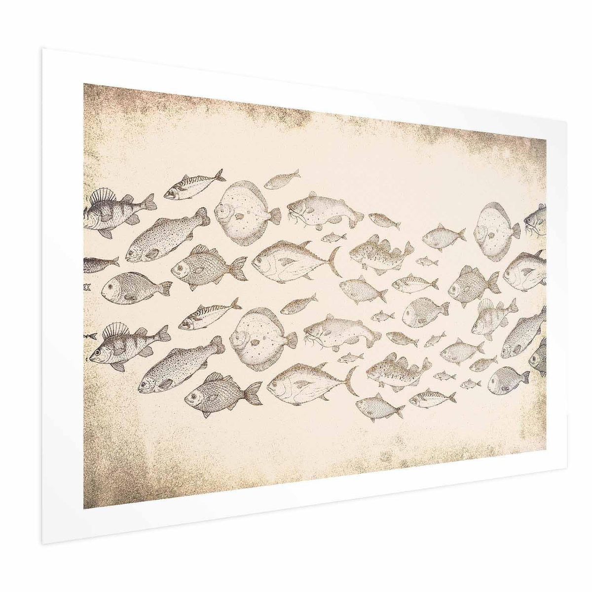 Poster - Subtle Little Fish
