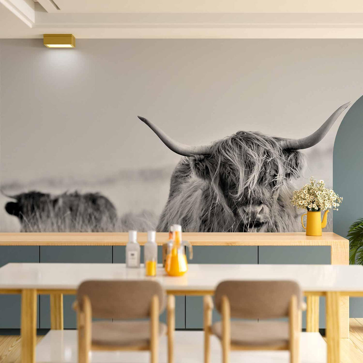 Fototapete - Highland Cattle