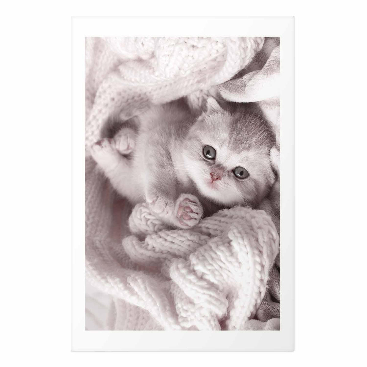 Poster - Lover of Rest