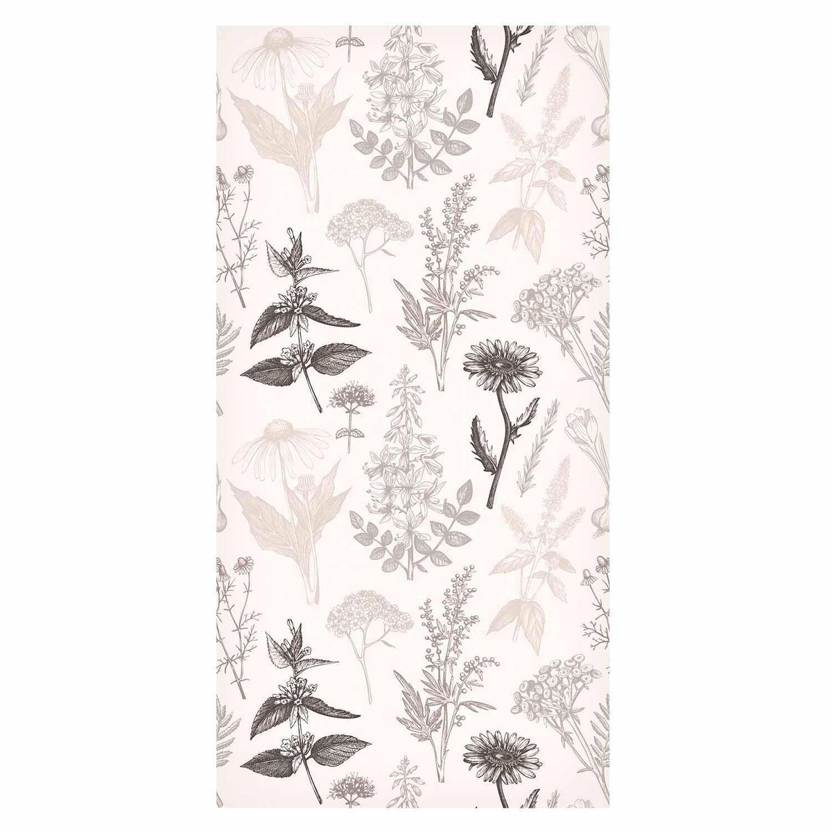 Tapete - Flowers and herbs in warm greys