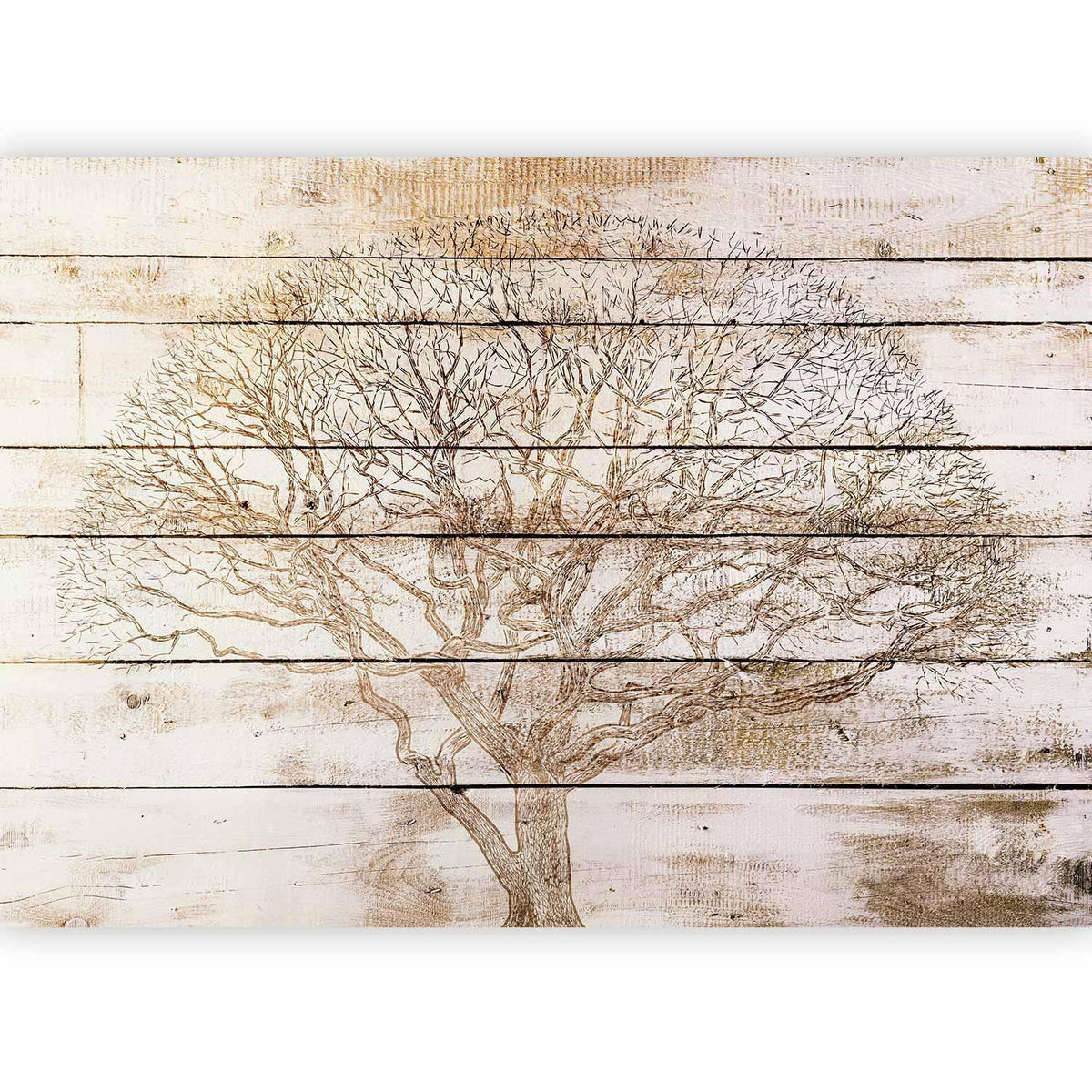 Fototapete Baum auf Holzplanken – Rustikales Naturmotiv mit Holzstruktur