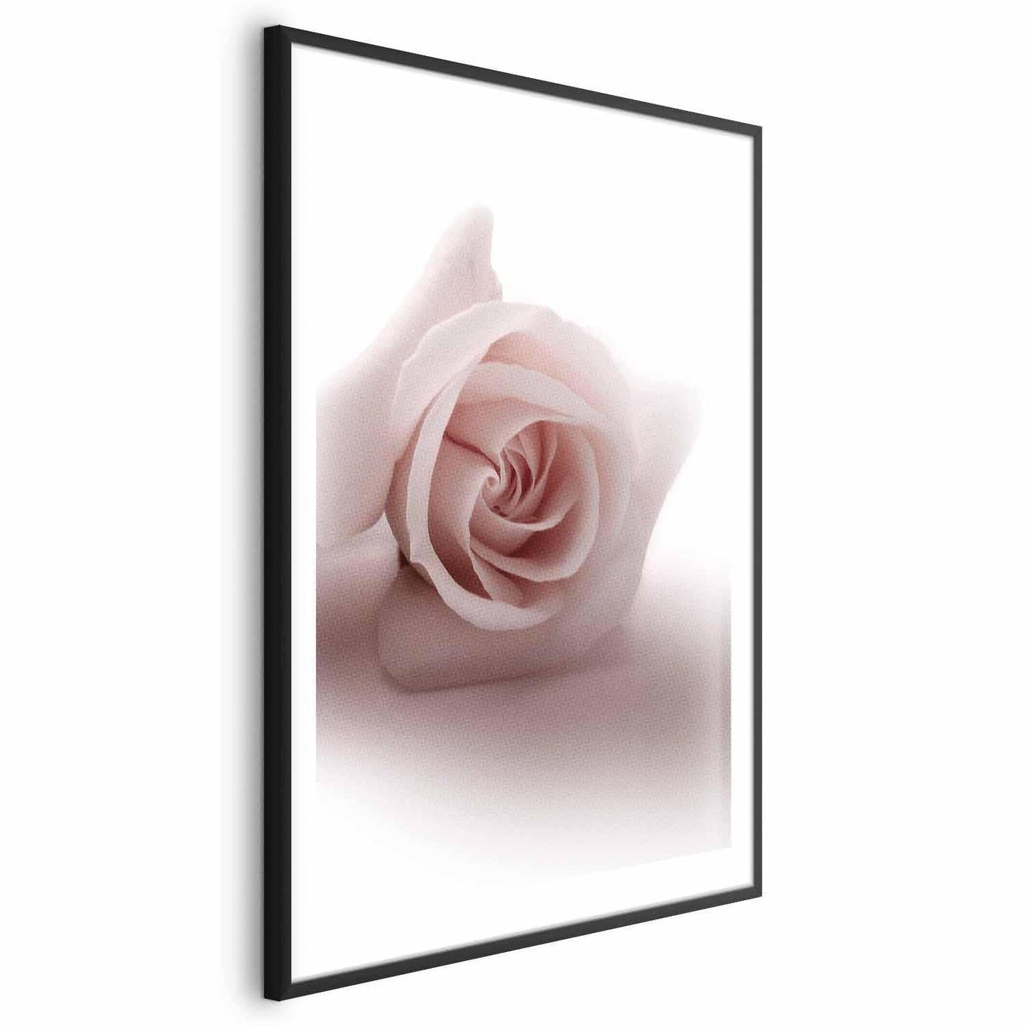 Poster - Rose Shadow Artgeist