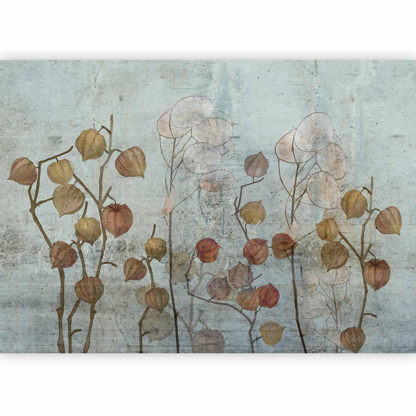 Fototapete „Painted Lunaria“ – Zarte Blütenkunst für stilvolle Räume