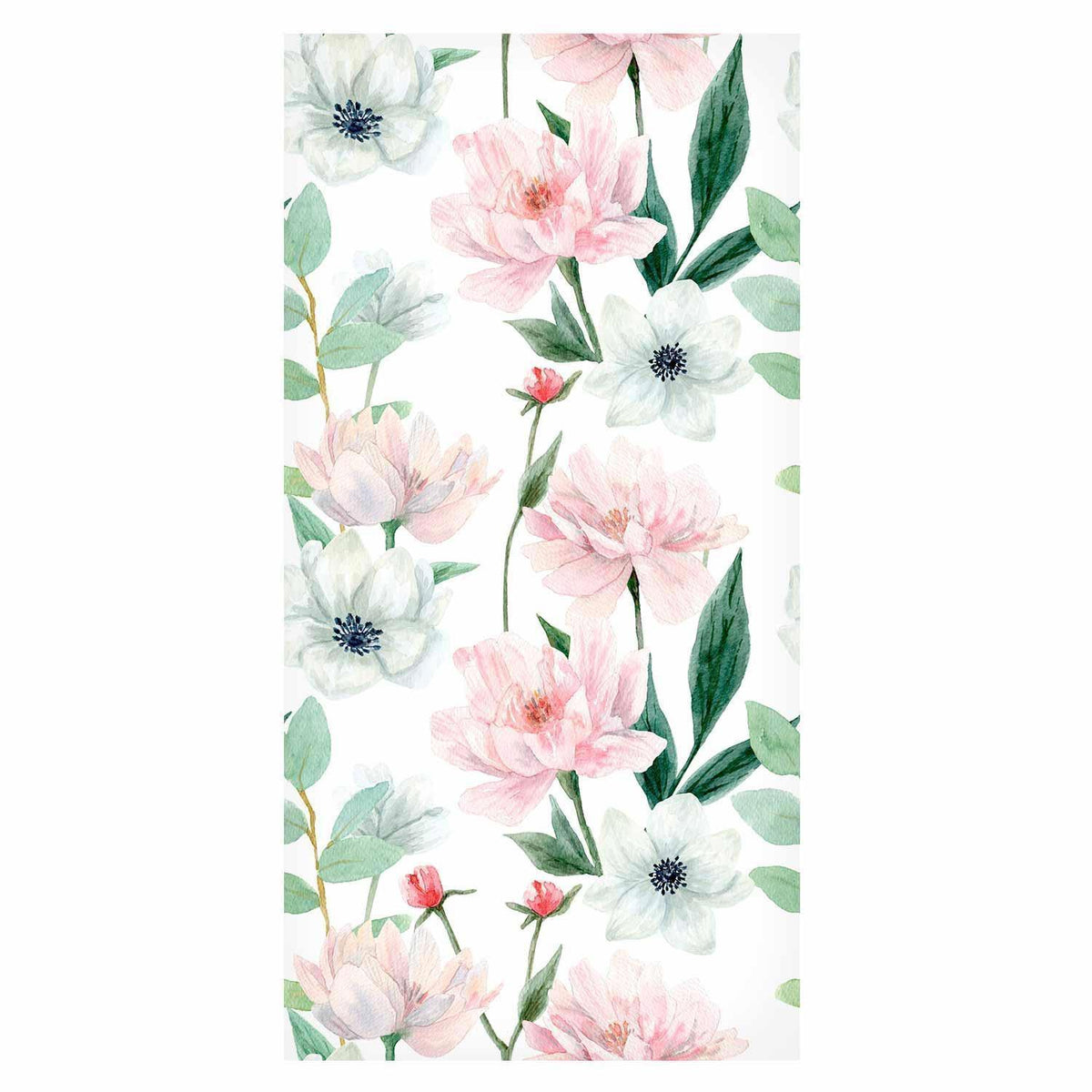 Tapete - Peonies on white background
