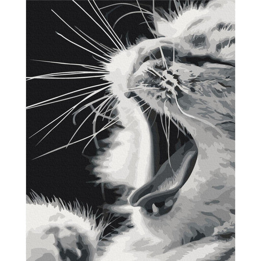 Malen nach Zahlen - Yawning Kitten