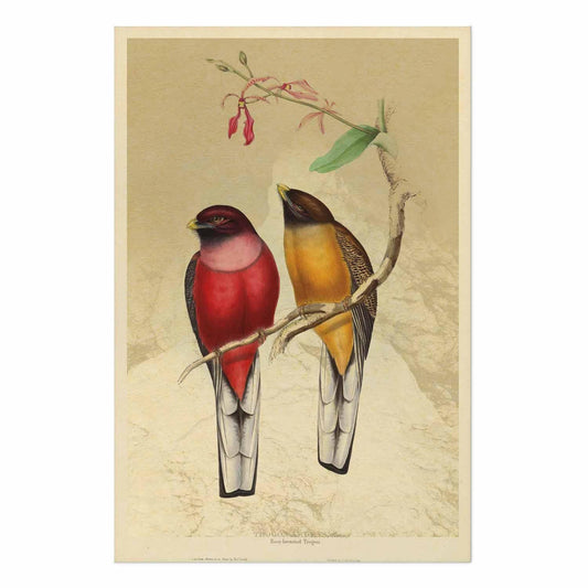 Poster - Birds on a Branch
