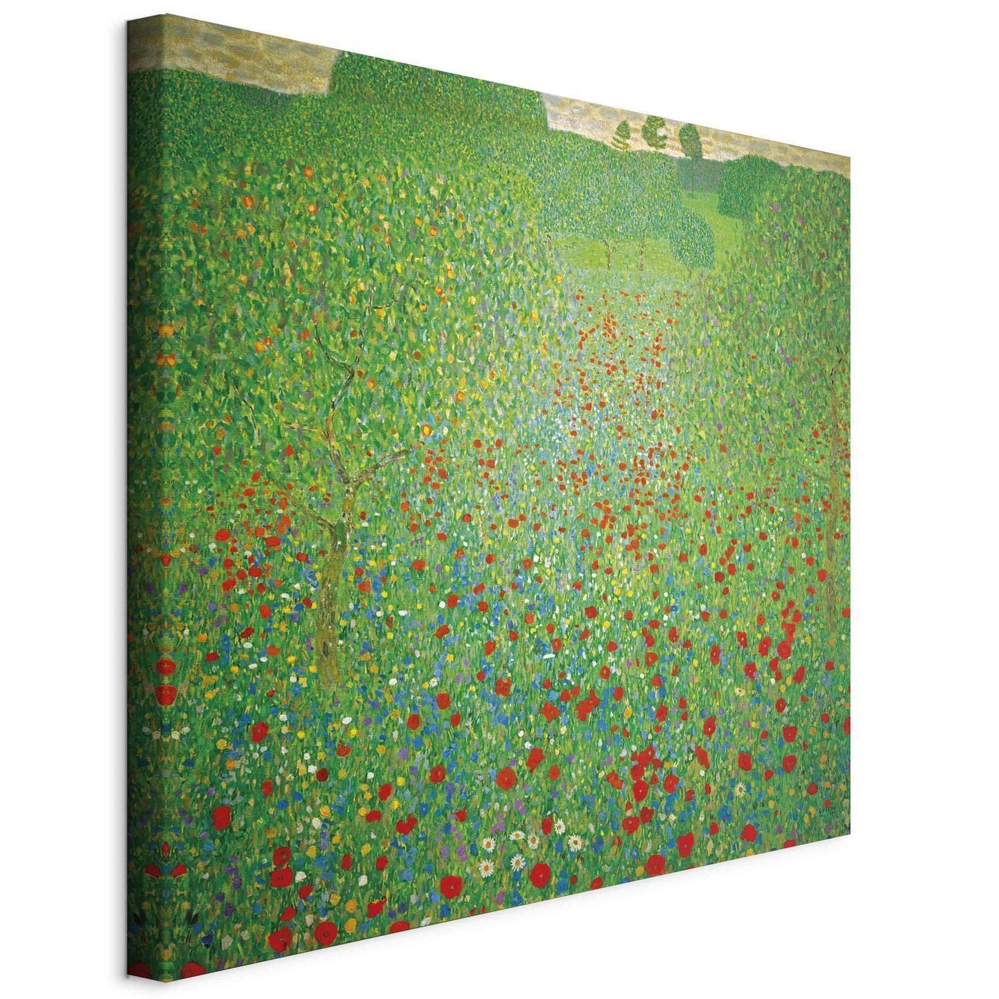 Leinwandbild - Poppy Field (Gustav Klimt) Artgeist