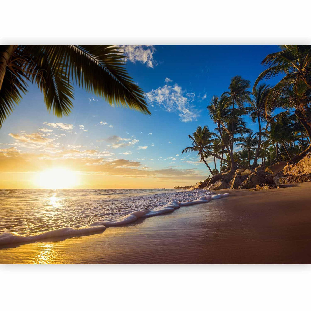 Fototapete - Tropical Beach