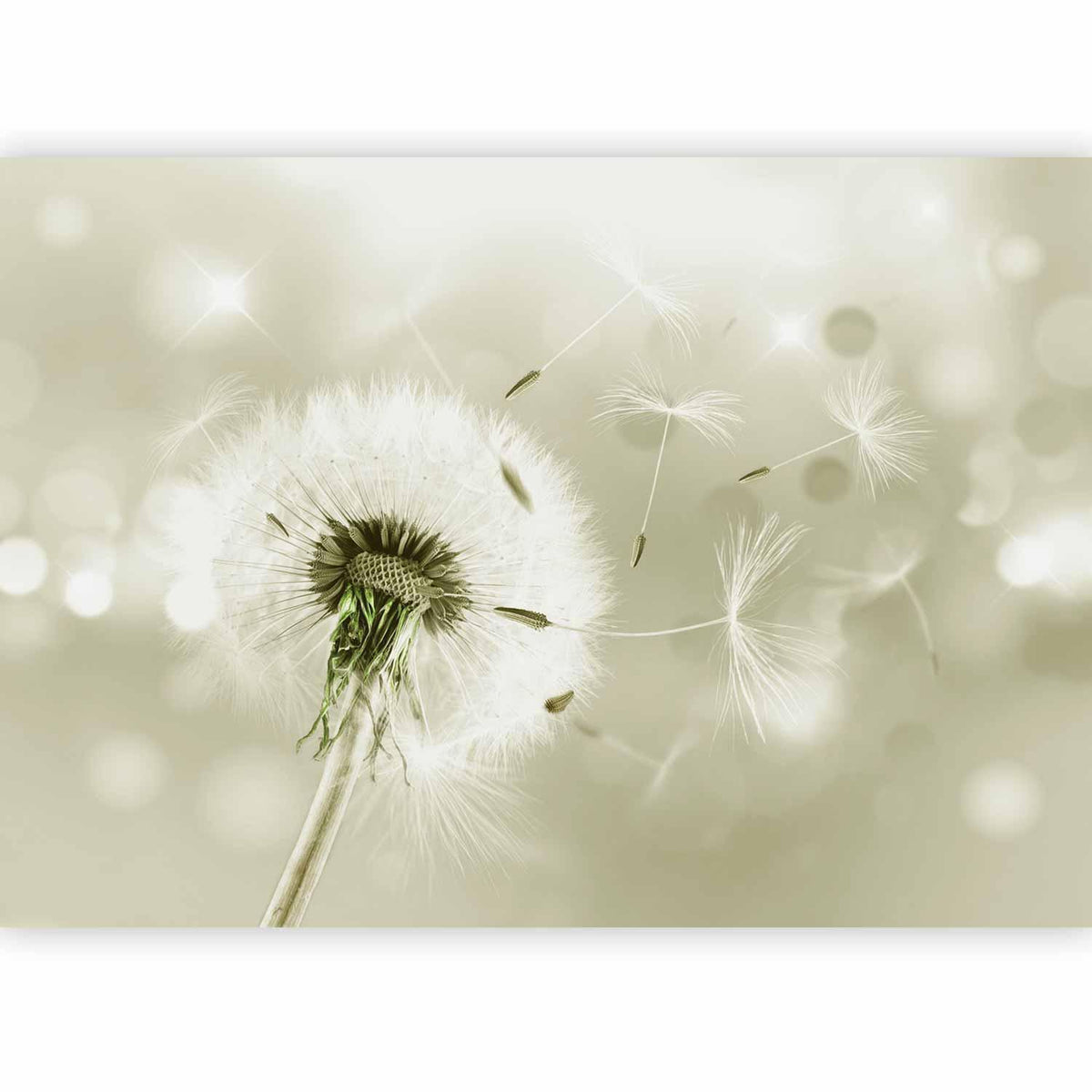 Fototapete - Pilgrimage of Wind