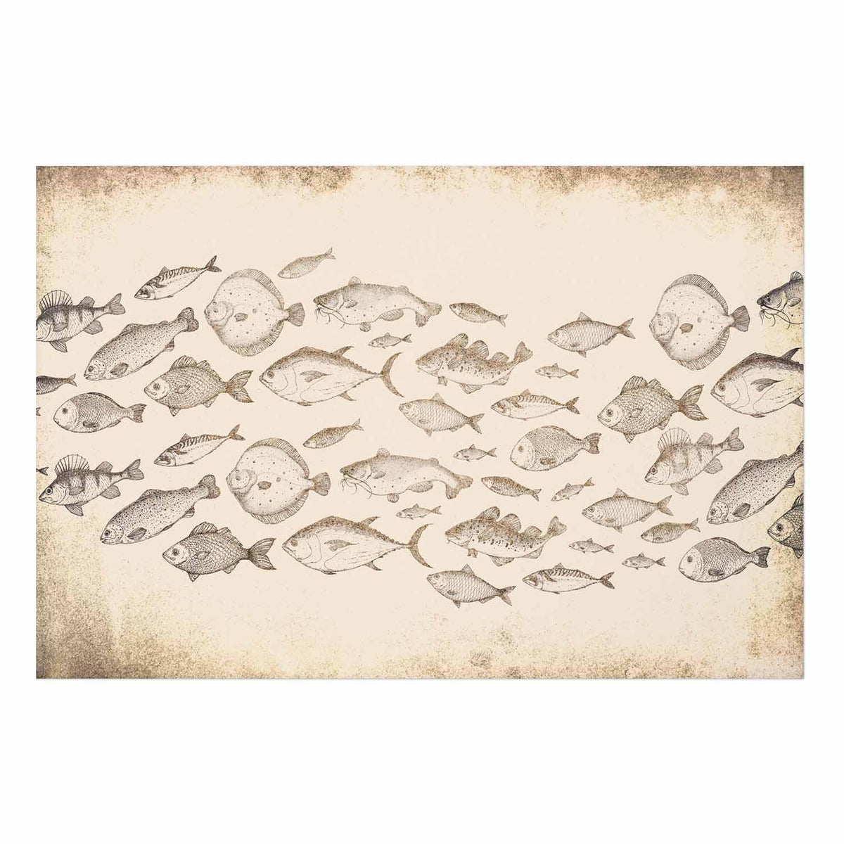 Poster - Subtle Little Fish