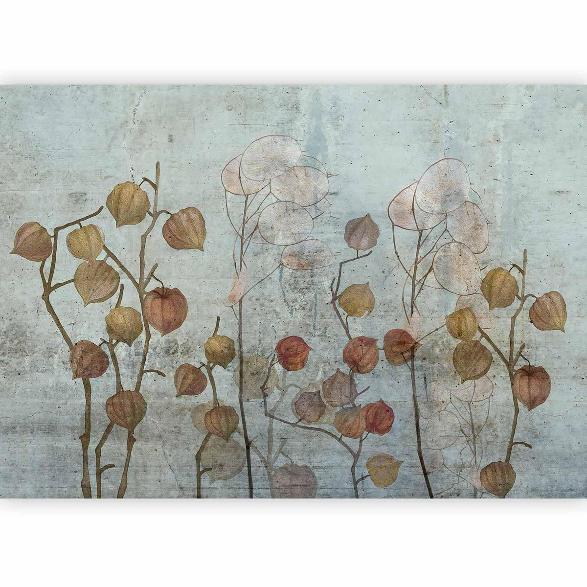 Fototapete - Painted Lunaria