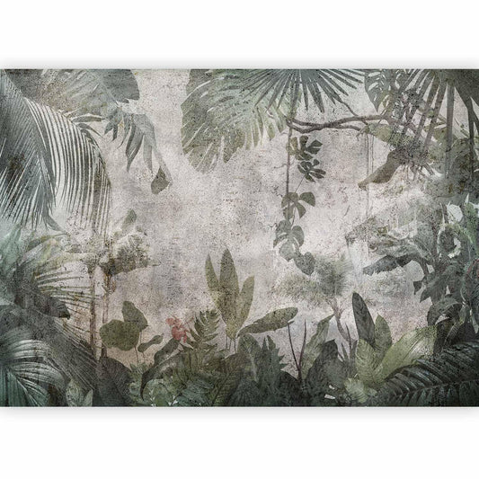 Fototapete - Rain Forest in the Fog