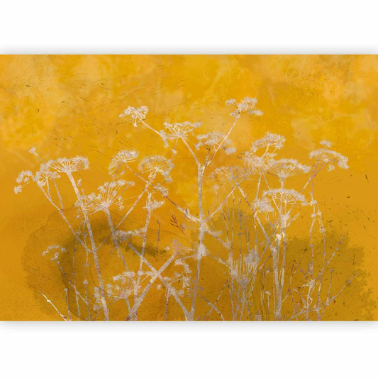 Fototapete - Meadow Bathed in the Sun