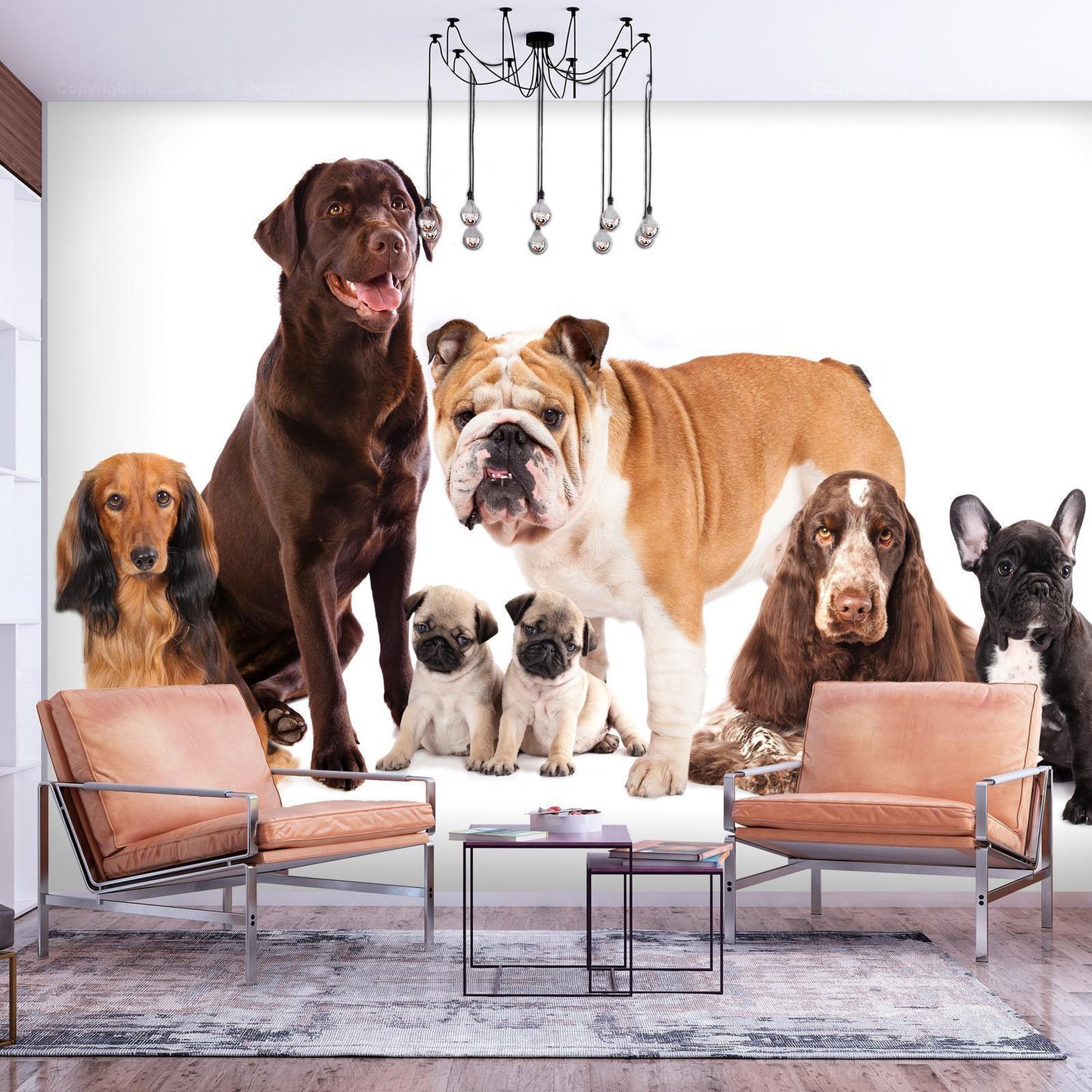 Fototapete - Animal portrait - dogs with a brown labrador in the centre on a white background Artgeist
