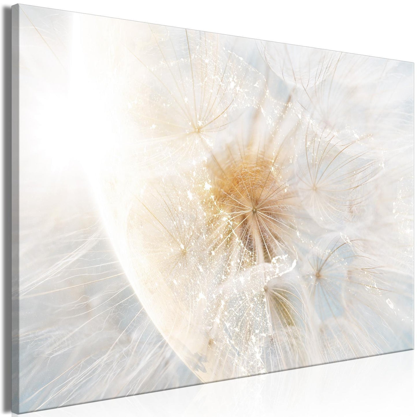 Leinwandbild - Dandelion in the Sun (1 Part) Wide Artgeist