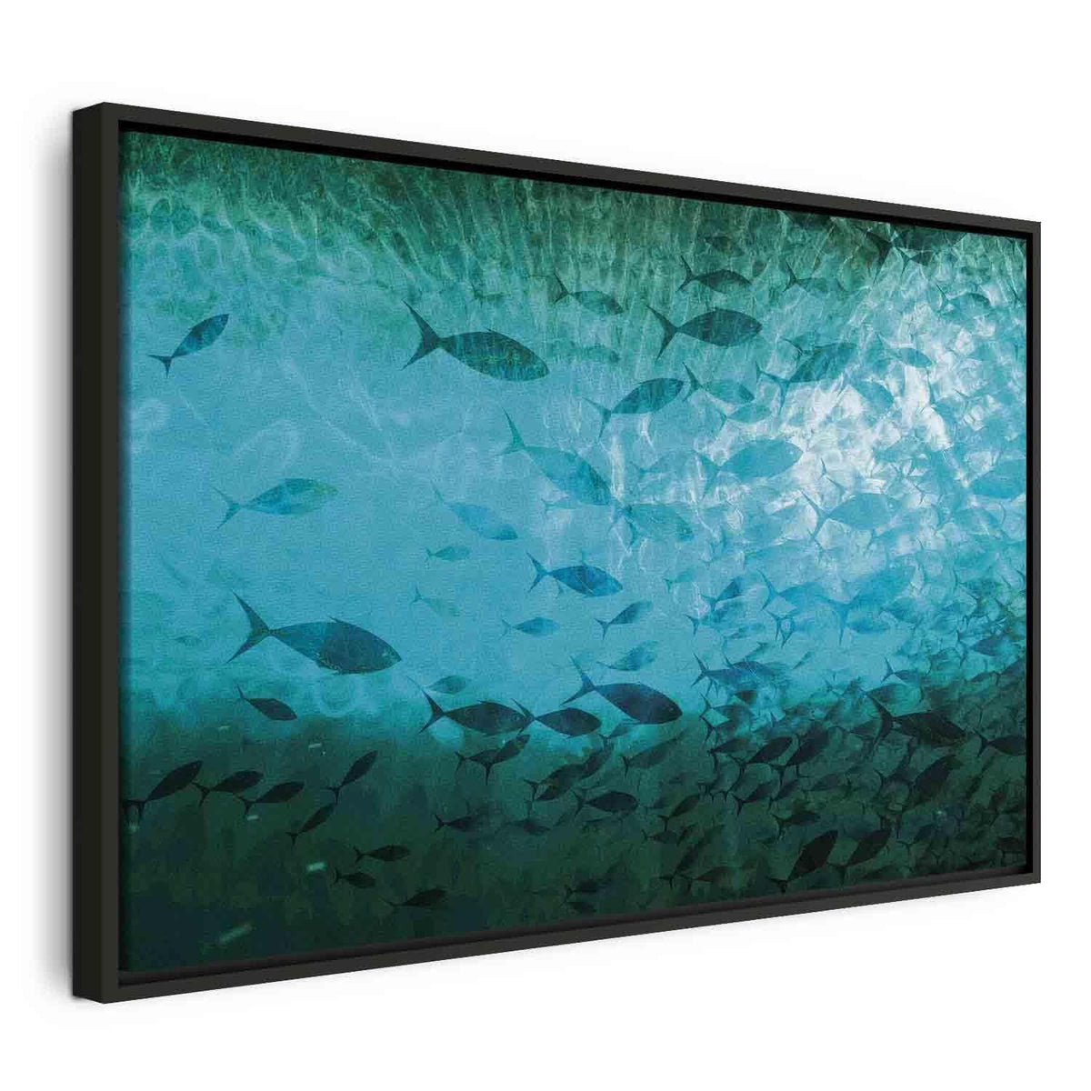 Leinwandbild - A shoal of dark fish