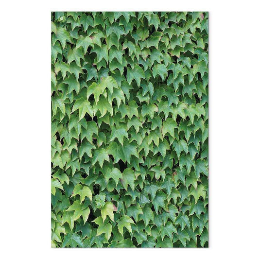 Leinwandbild - Thick Ivy (1 Part) Vertical