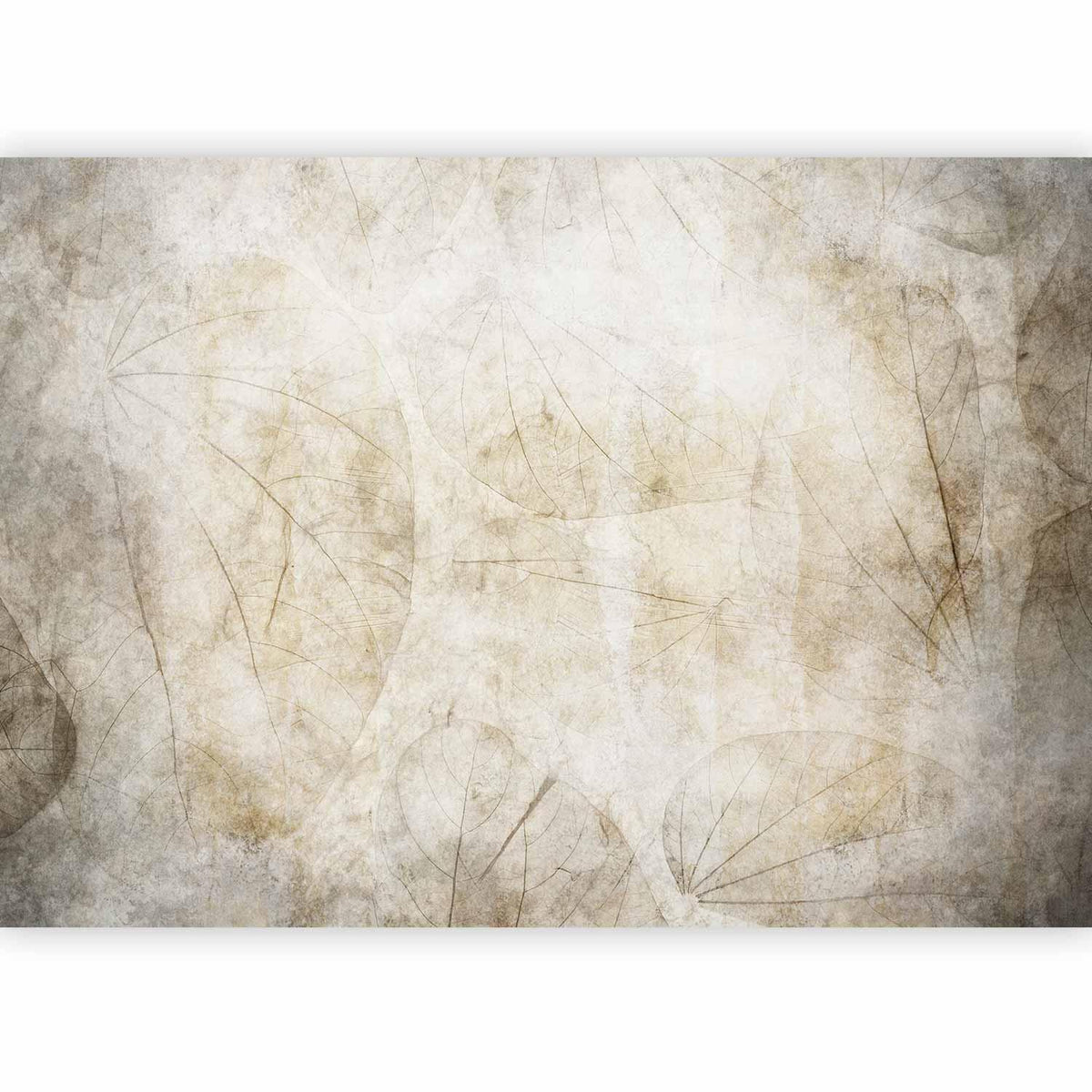 Fototapete - Beige murmurs