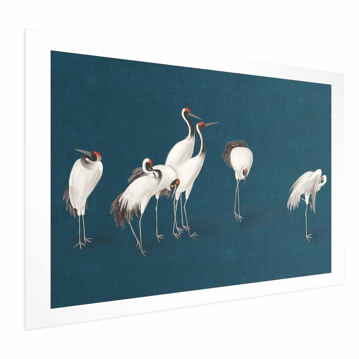 Poster - Evening at the Pond - group of cranes drawn in dry pastel on a dark turquoise background