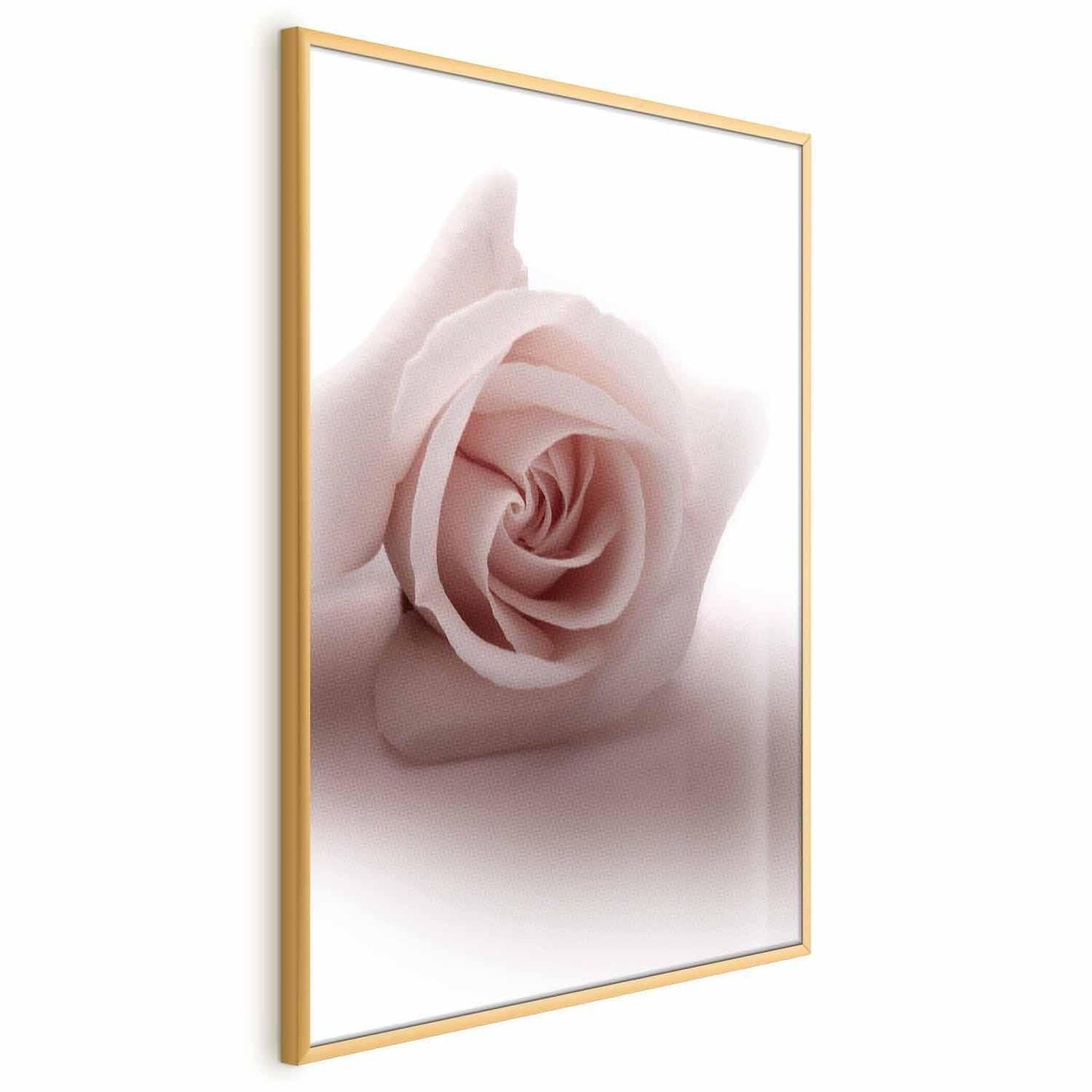 Poster - Rose Shadow Artgeist