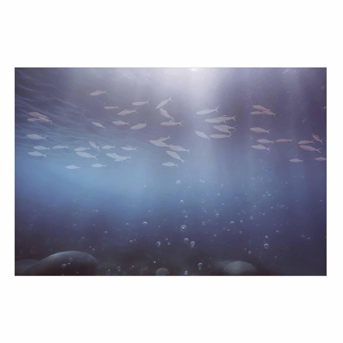 Poster - Fish in the Depths