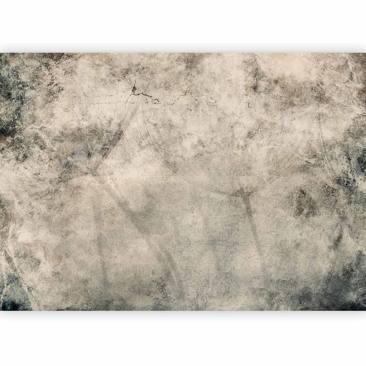 Fototapete Pusteblumen Industrial – Beton-Optik mit floralen Akzenten