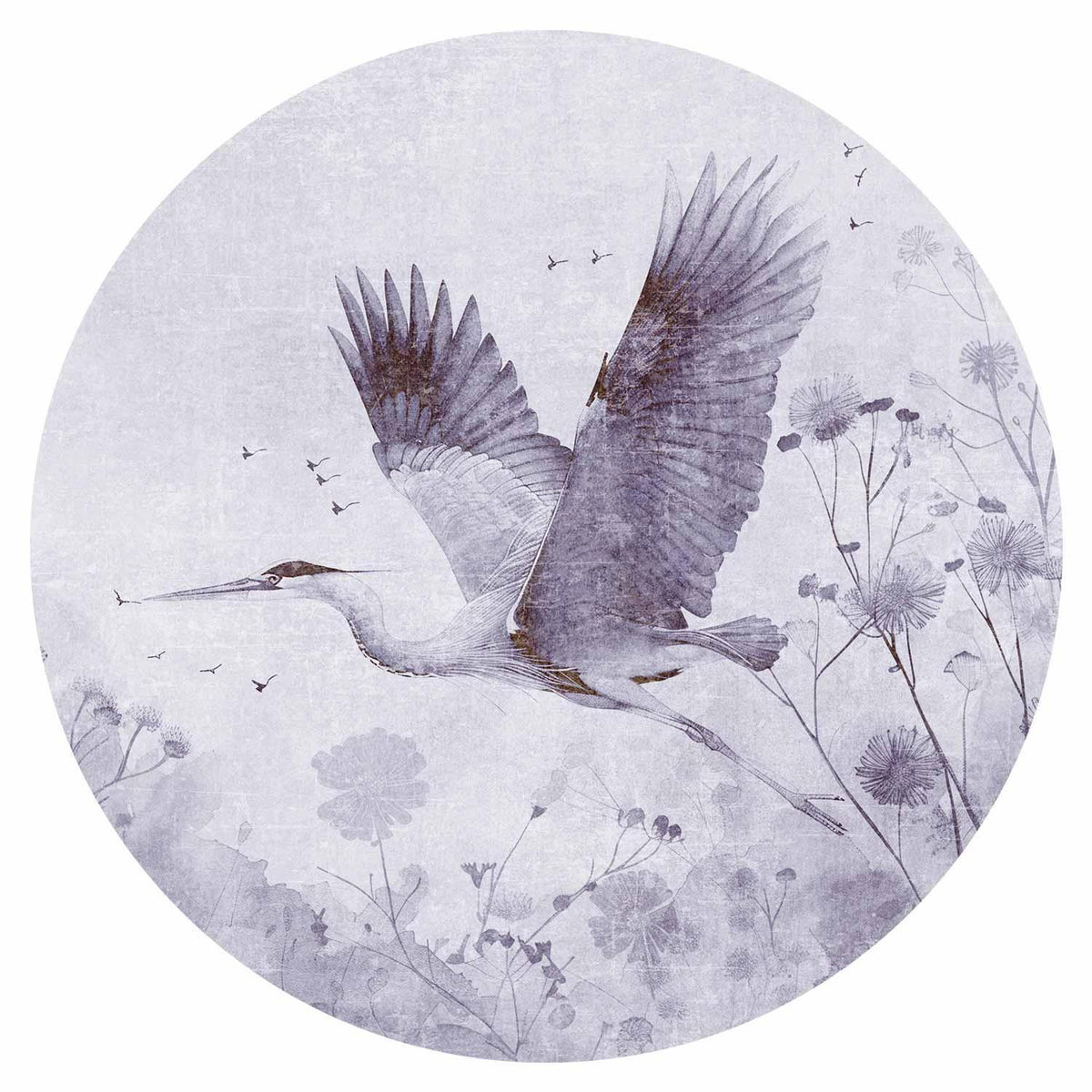 Runde Fototapete Kranich im Flug in Schwarz-Weiß