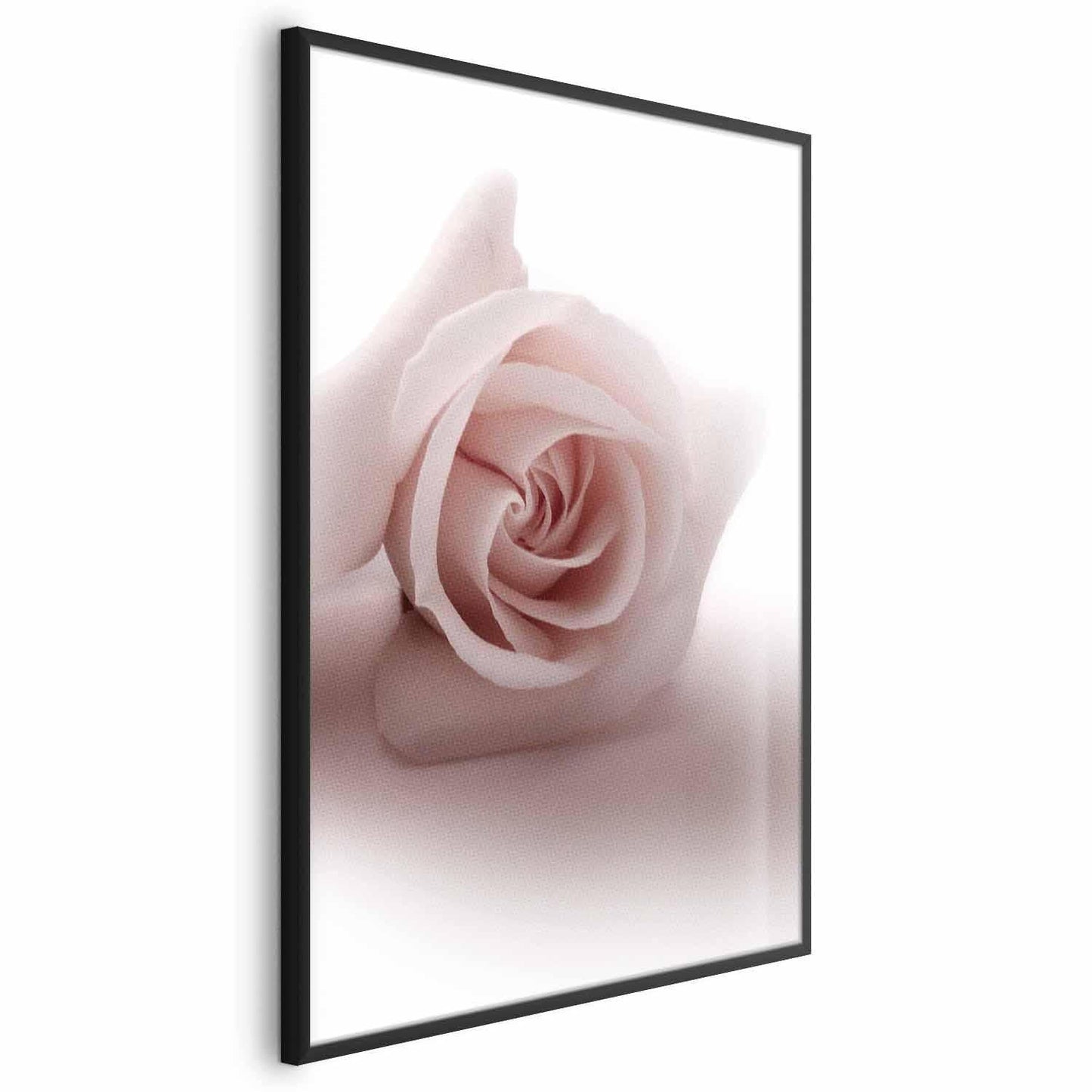 Poster - Rose Shadow Artgeist