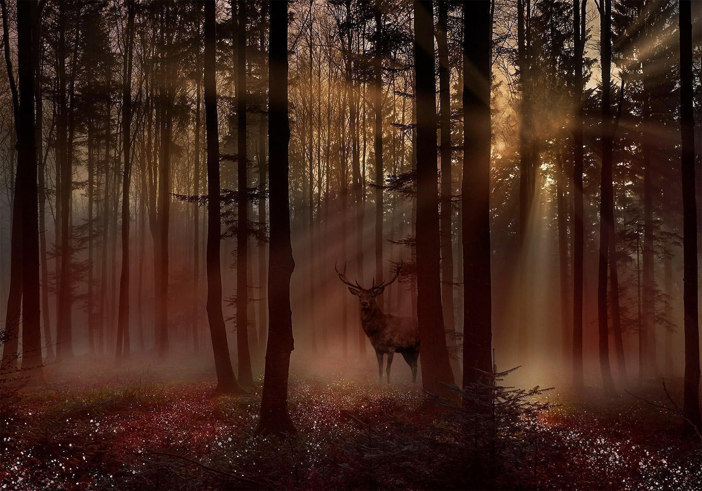 Fototapete - Mystical Forest - First Variant Artgeist