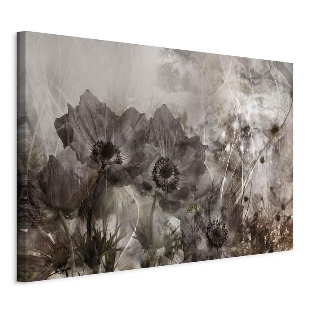 Leinwandbild - Anemones in Sepia (1 Part) Wide