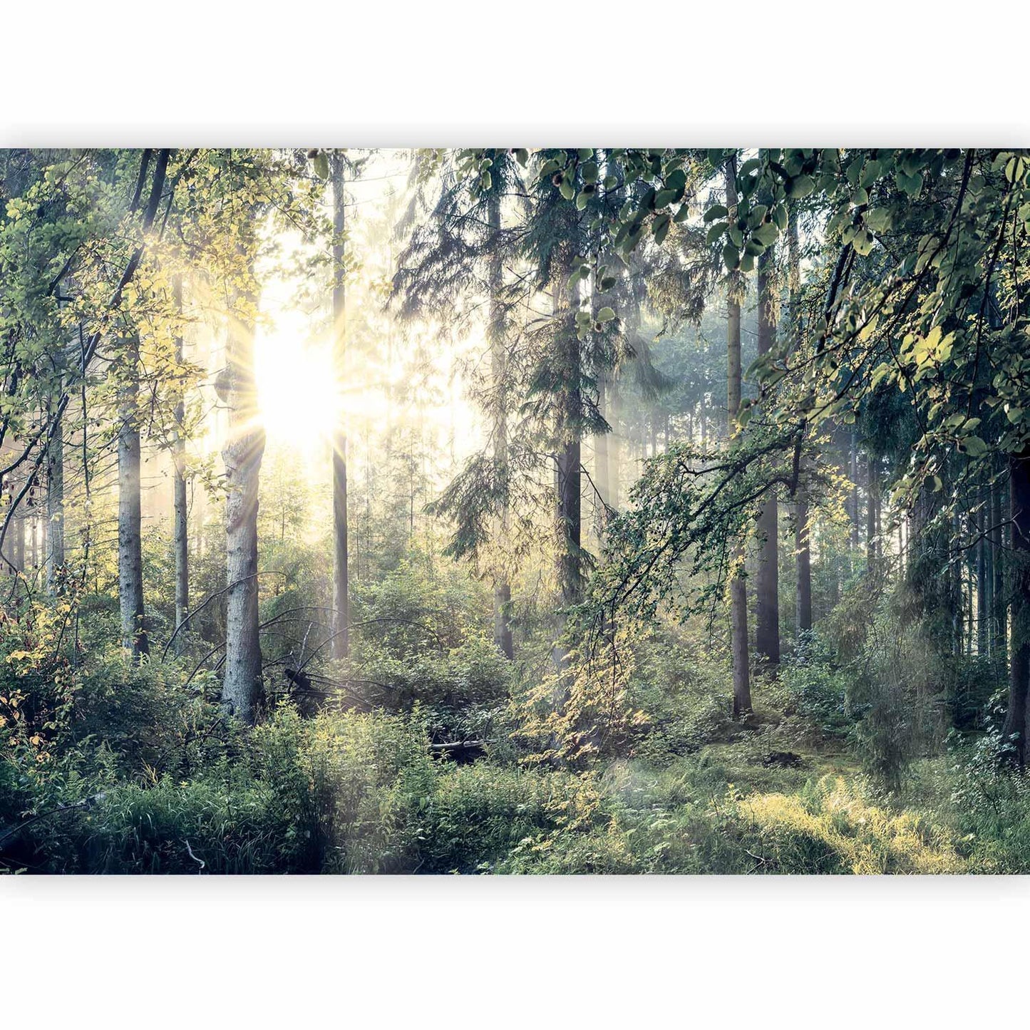 Wohnzimmer mit beruhigender Waldtapete