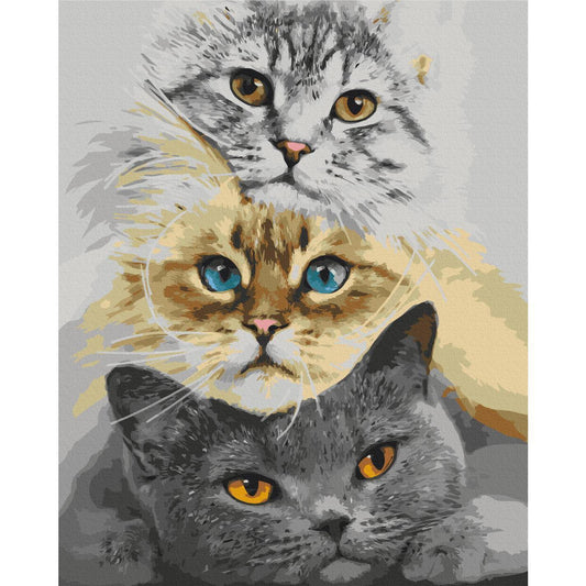 Malen nach Zahlen - Cat's Trio