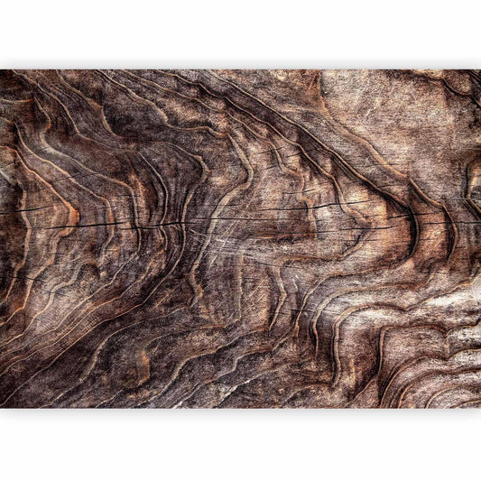 Fototapete - Signs of the times - an abstract background with the wrinkled bark of an old tree