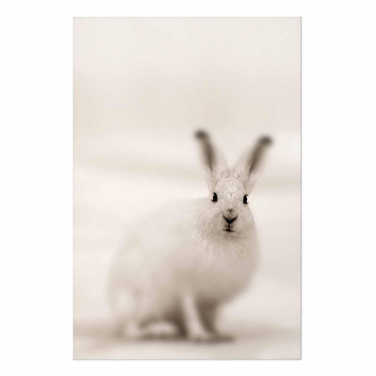 Poster - Fearful Look