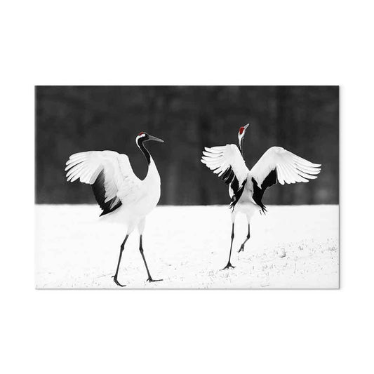 Leinwandbild - Dancing Cranes (1 Part) Wide
