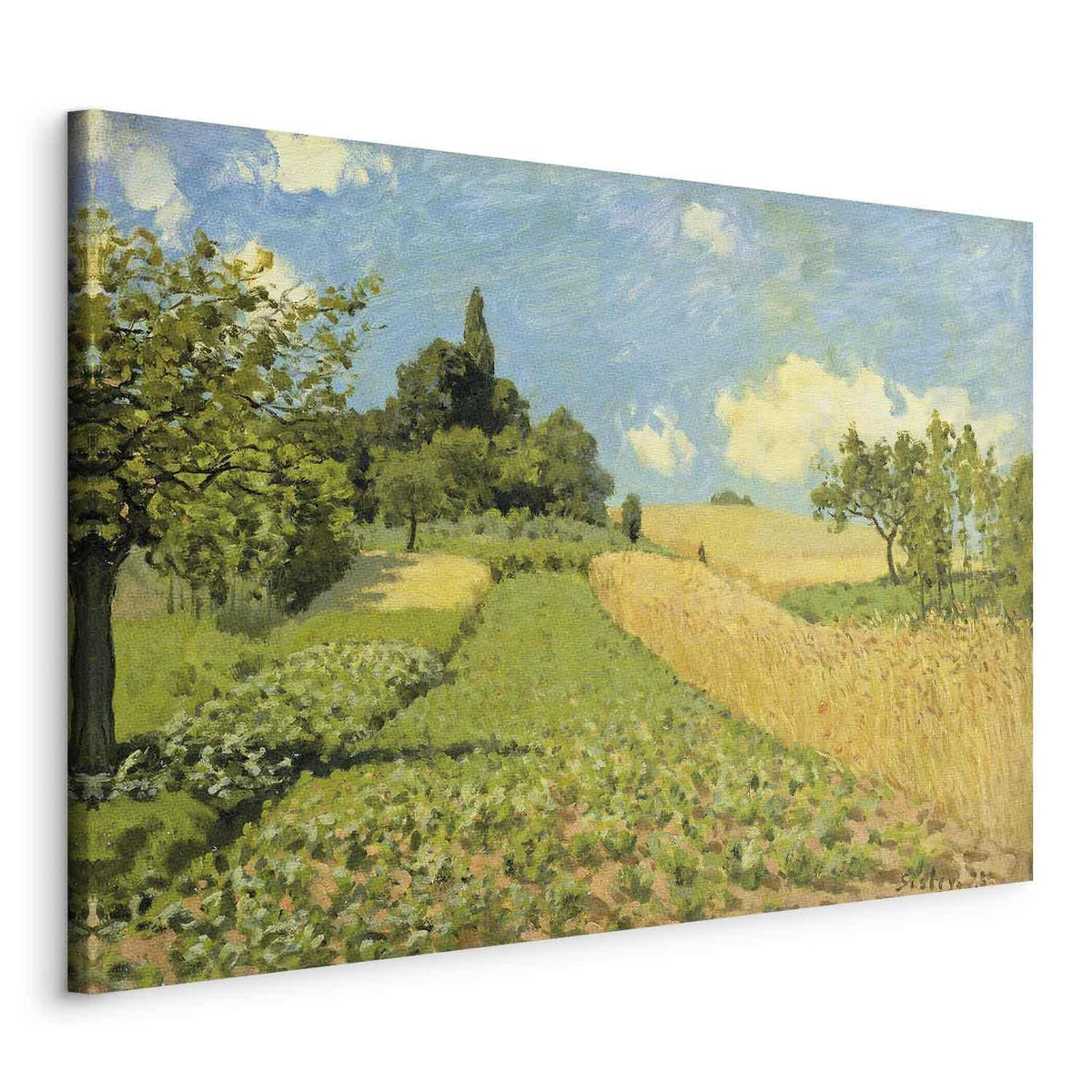 Leinwandbild - Alfred Sisley – Grain fields on the hills of Argenteuil
