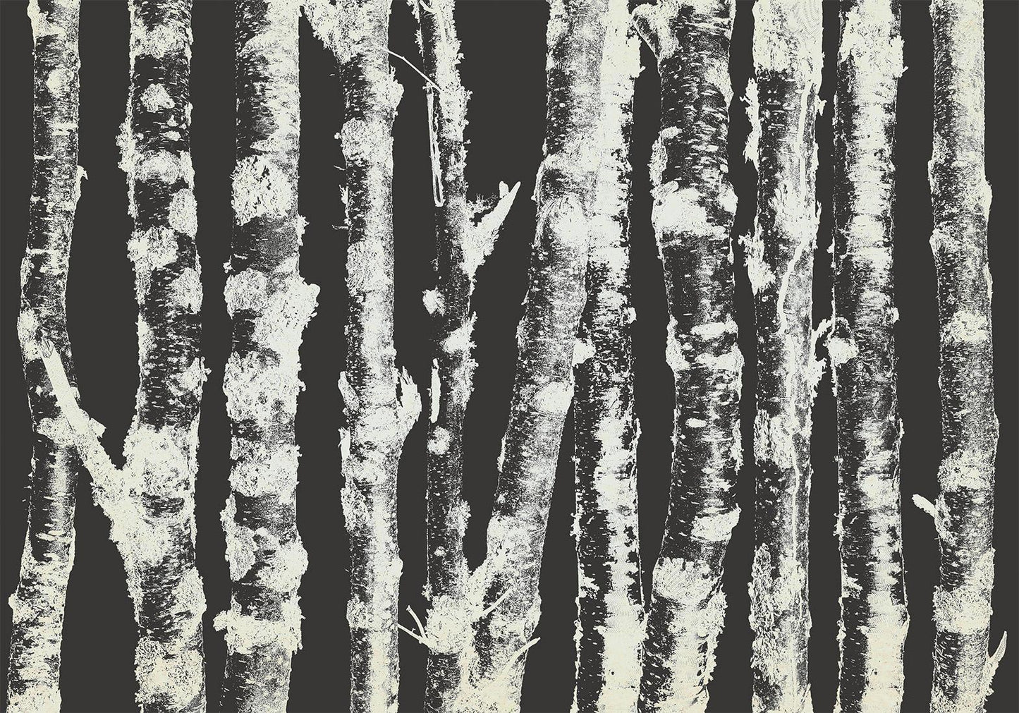 Fototapete - Stately Birches - Second Variant Artgeist
