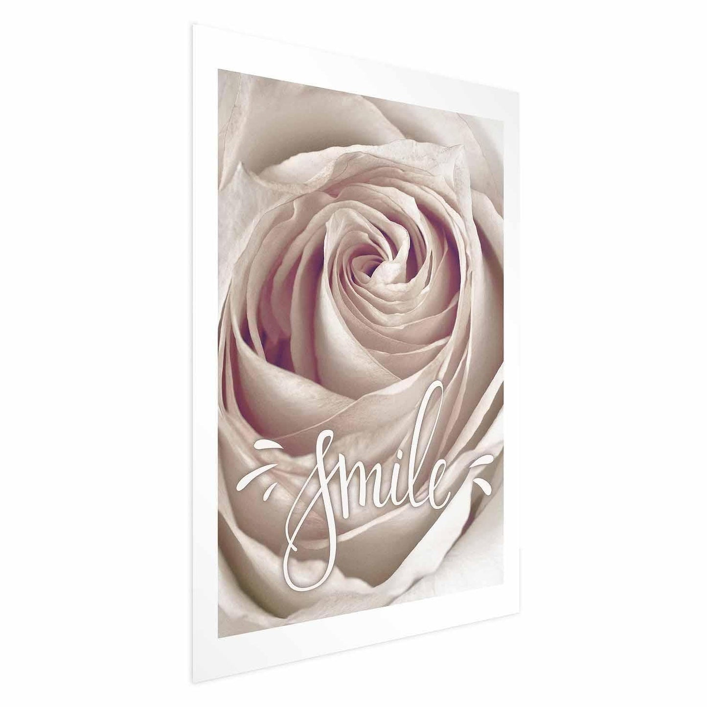 Poster featuring a close-up of a white rose with the word "Smile" in elegant script.