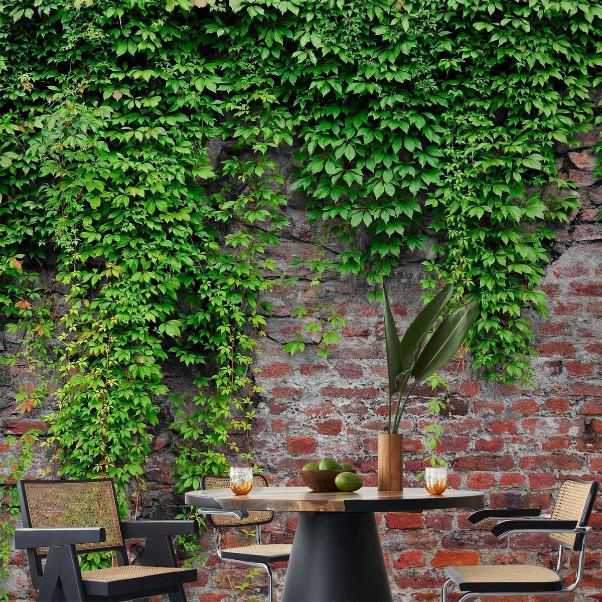 Fototapete - Brick and ivy